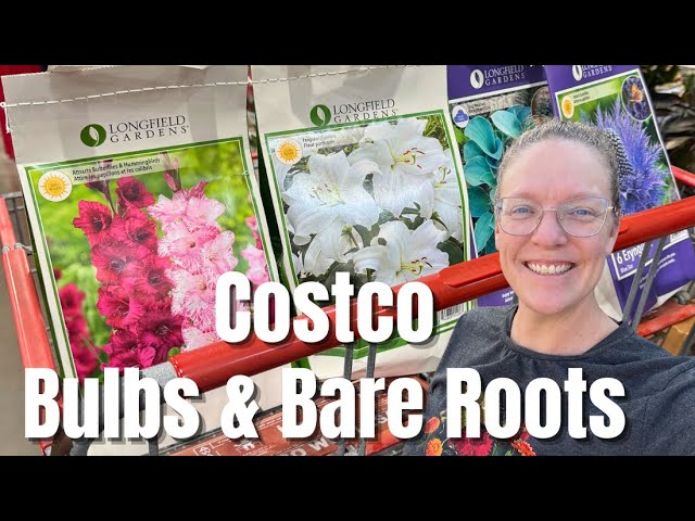 🌷 BEST Spring Bulbs & Bare Roots at Costco 🌷 | Amazing Quality & Prices! | She’s A Mad Gardener