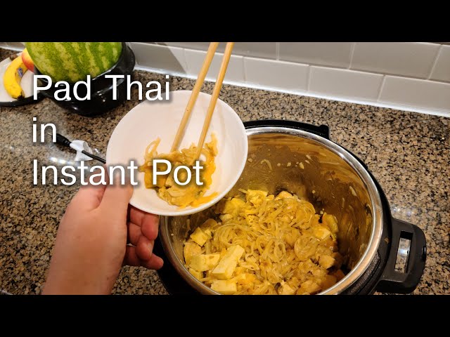 How to Make Pad Thai in the Instant Pot with Tofu and Chicken - VR 180 Recipe Video