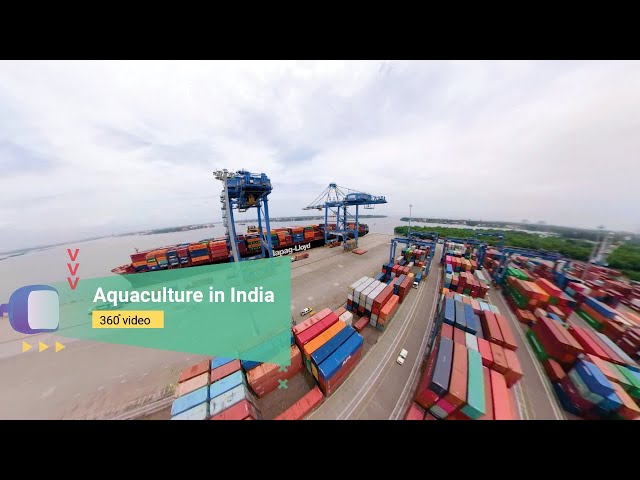 Aquaculture in India in VR 360 | MPEDA | Virtual Raasta