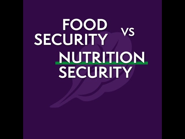 Understanding Food Security vs. Nutrition Security: What's the Difference?