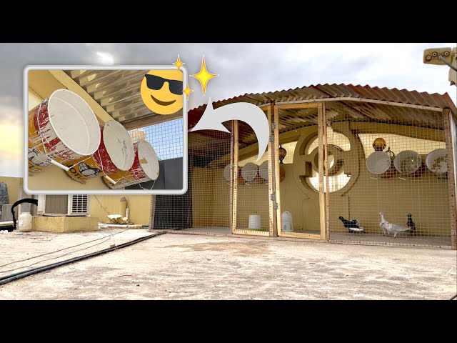 بناء بيوت الطيور بطريقة احترافية 🏡🕊 Modern Bird House 🛠👷🏻‍♂️