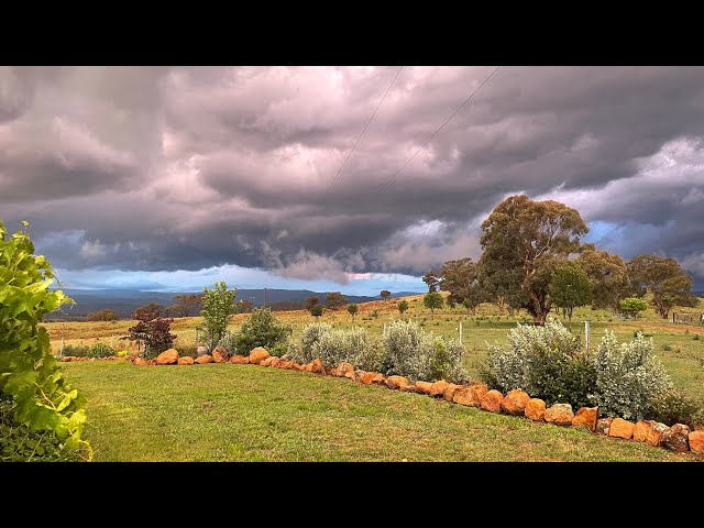 Last flower-farm tour for 2023.  Australian cut flower farm.