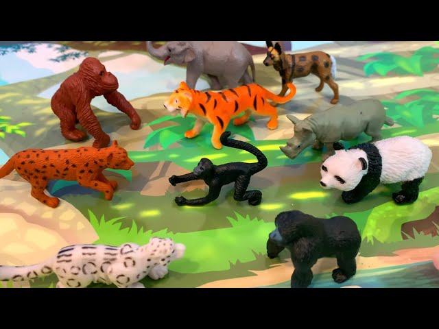 Endangered Encounters! Discovering Animals in Need and Exciting Puzzle