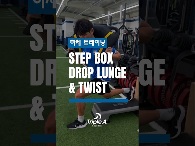 Step Box Drop Lunge & Twist