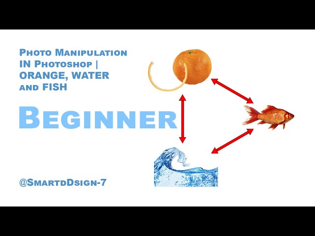 Photo Manipulation in Photoshop | Orange, Water and Fish