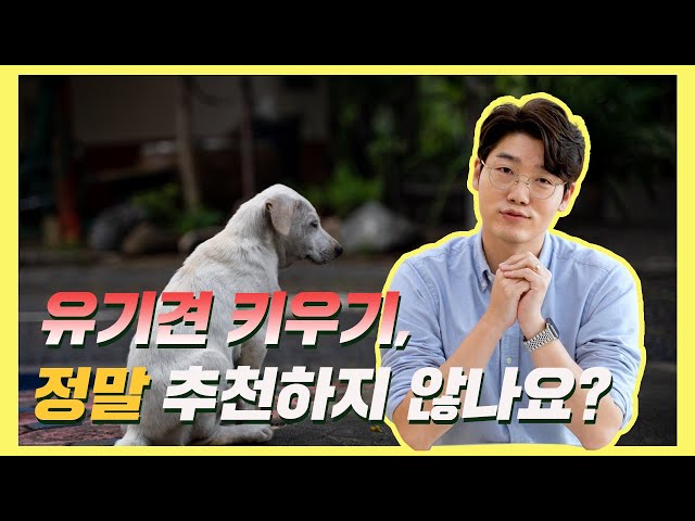 유기견 입양, 정말 추천하지 않나요? | 설채현 행동학 수의사