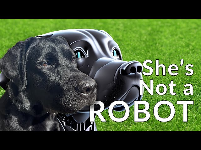 A Well Trained Dog Is Not A Robot