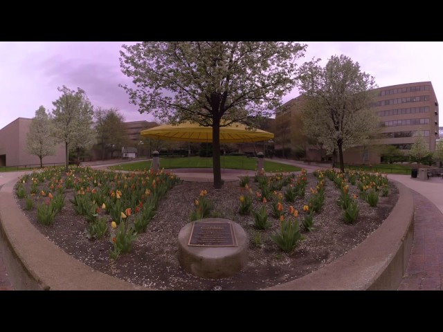 Michigan Medicine Courtyard (360° Video)