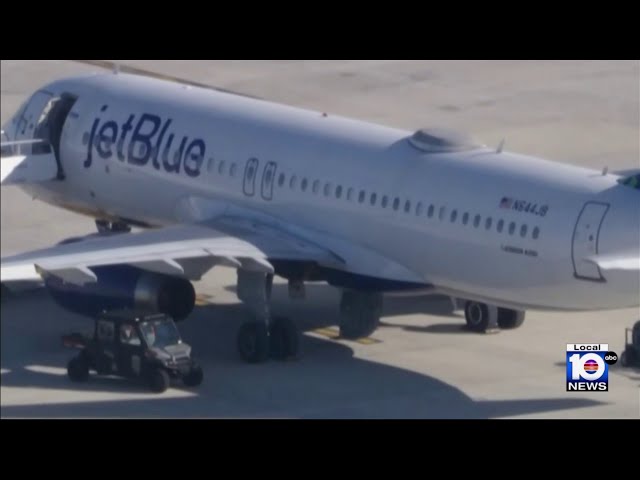 JetBlue flight lands at FLL with two bodies found inside