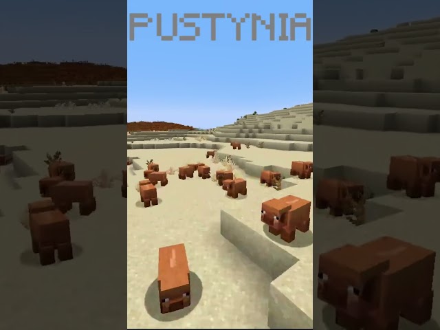 🐷NOWE RODZAJE ŚWIŃ w Minecraft🐷