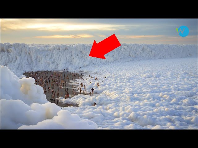 75 Most Unbelievable Nature Moments Ever Caught on Camera