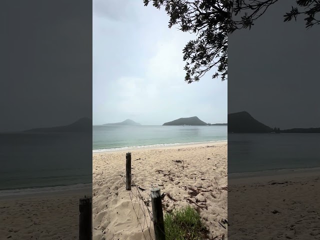 Walking to an empty #ShoalBay beach 🏖️🌫️ #shorts #portstephens #visitors