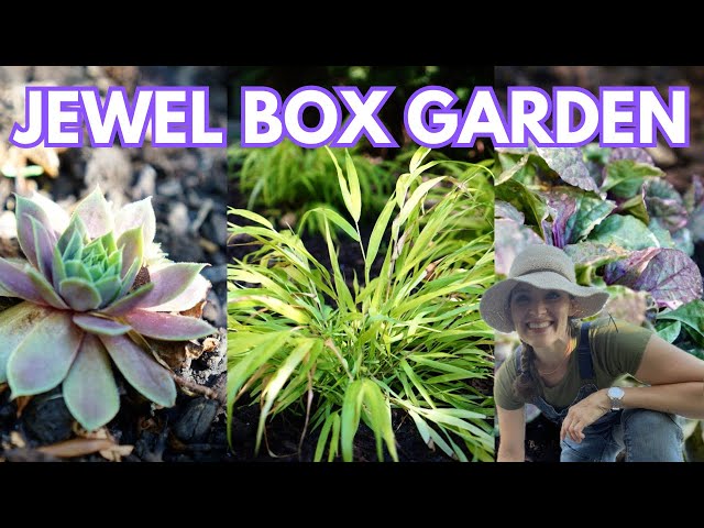 Planting a Jewel Box Shade Garden | Here She Grows