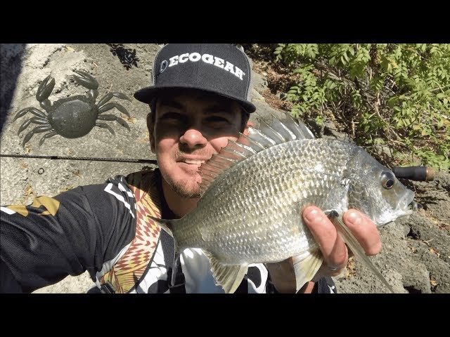 HOW TO FISH | A Weighted Marukyu Crab.