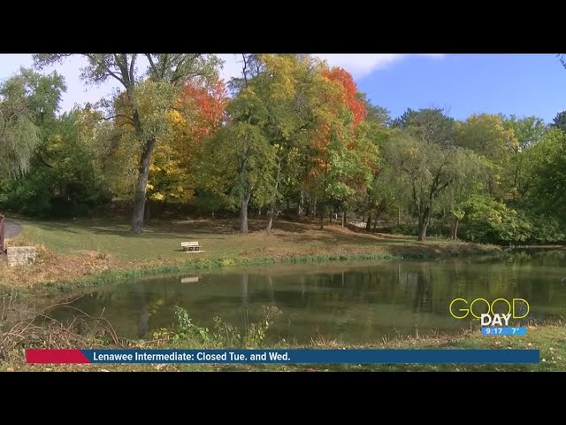 History and nature: Go through a park in a day with Metroparks Toledo | Good Day on WTOL 11