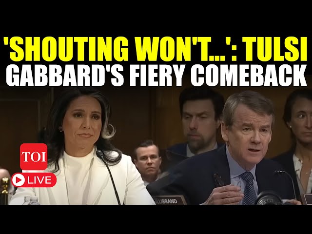 U.S. | 'In Your Dreams...': Tulsi Gabbard Roars With Straight Face | Fiery Comeback In Senate