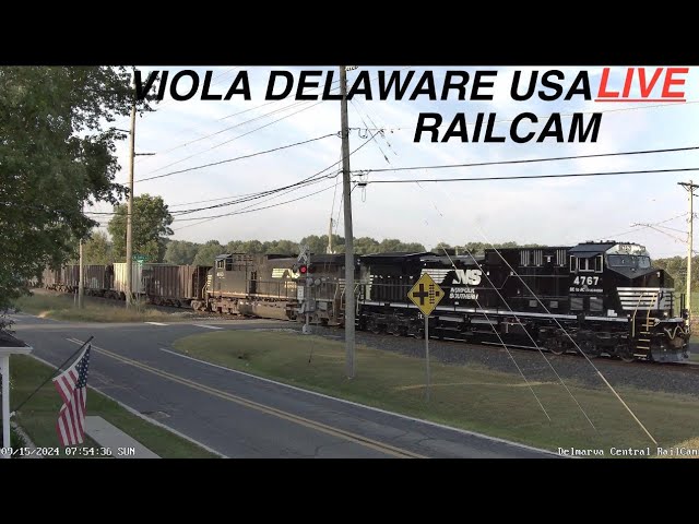 Viola Delaware, DCR/NS RailCam PTZ LIVE