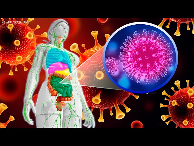 Whole Body Rejuvenation - Removes All Negative Energy, Healing Body - 528hz