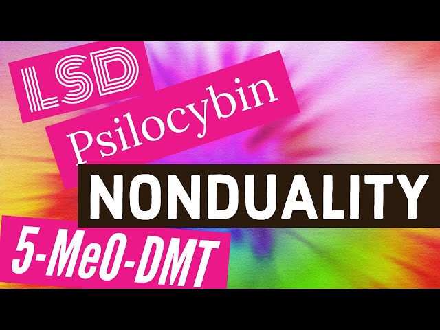 Nondual Psychedelic Integration Interview | Nonduality, 5-MeO-DMT, LSD, Psilocybin, Ayahuasca