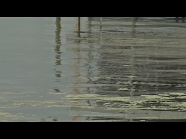 Chautauqua Institution files suit after herbicide testing in Chautauqua Lake