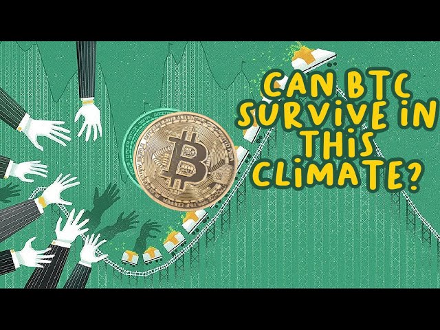 Is INFLATION Actually Hurting Crypto??