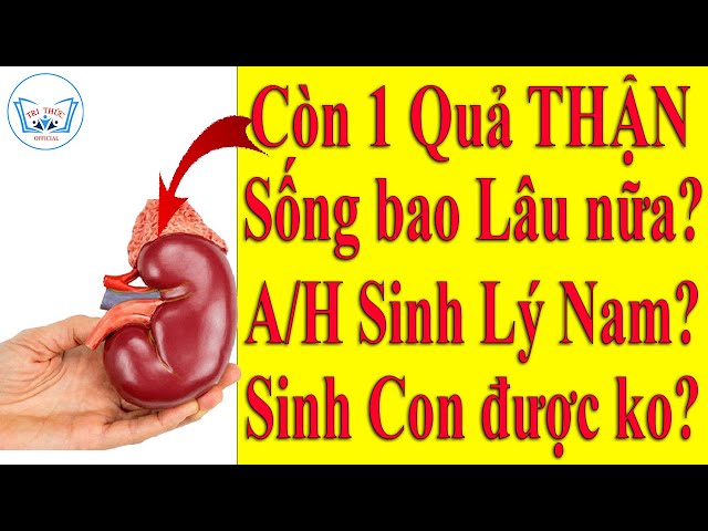 Còn 1 quả Thận - Sống được bao lâu nữa? Có ảnh hưởng Sinh Lý Nam? Sinh đẻ được Ko? TRI THỨC Official