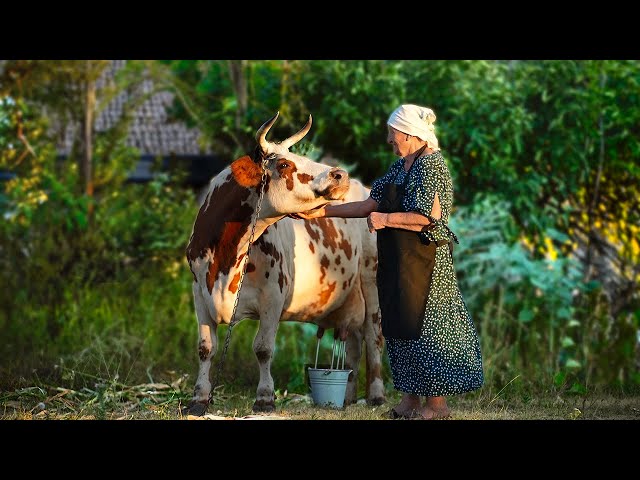 2 Days In The Life Of a Happy Elderly Couple In The Village