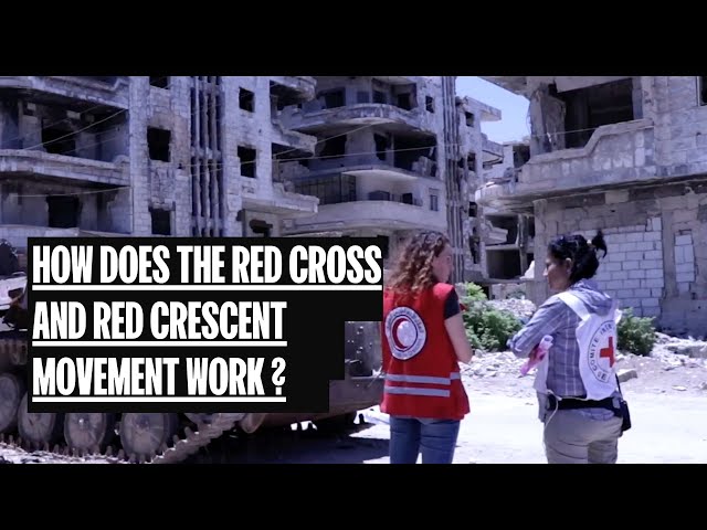 The International Red Cross and Red Crescent Movement, what is it? how does it work?