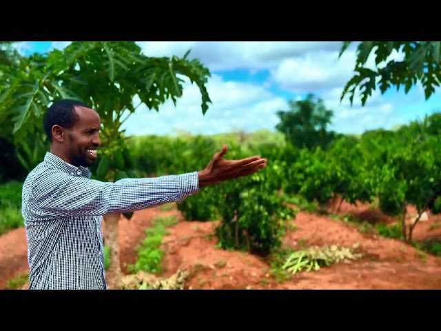 Quruxda Iyo Nimcada taala Magaalada Mustaqbalka Wanaagsan ee Namanga Iyo Nin Soomaali ah oo sameeyay