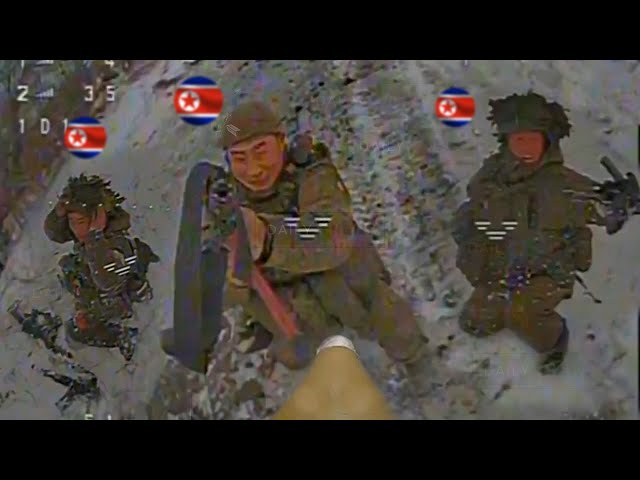 Ukrainian FPV drones mercilessly wipe out North Korean infantry in shock assault on frozen frontline