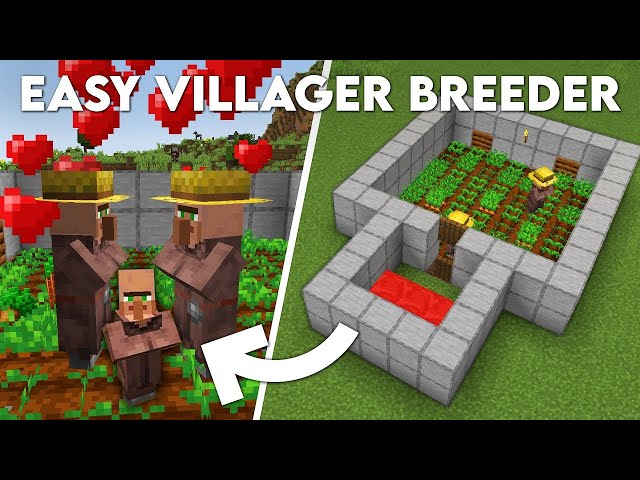 Watch This Before Making Your Next Minecraft Village!