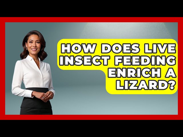 How Does Live Insect Feeding Enrich A Lizard? - Reptilian Wonders