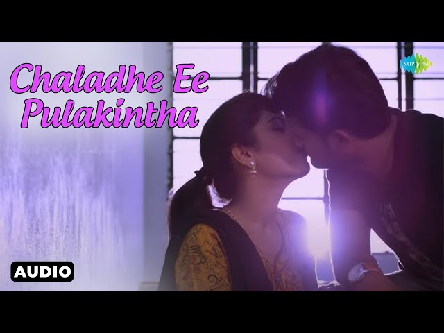 Chaladhe Ee Pulakintha Audio Song | Degree College | Yazin Nizar & Sameera Bharadwaj |Varun| Divya R