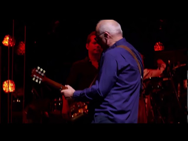 Mark Knopfler Live @ Madison Square Garden 2019 Revisited. Full concert.