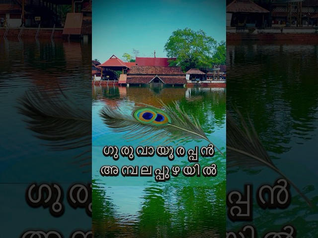 ഗുരുവായൂരപ്പൻ അമ്പലപ്പുഴയിൽ |🤔 #kerala #shortsvideo #travel #hindugod #hindutemple  #keralatourism