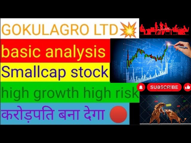 GOKUL AGRO LTD Basic analysis | smallcap stock high growth high risk    रॉकेट बनने वाला है ये शेयर |