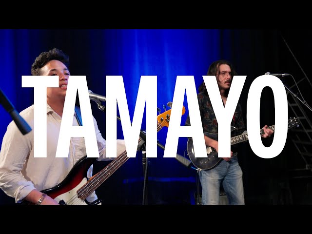 WUFT Amplified: Tamayo