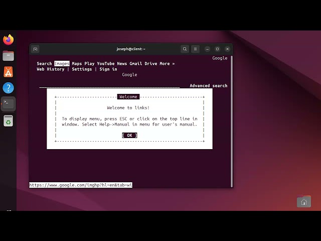 Viewing web pages from the command line on Ubuntu Linux