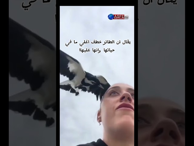 اشياء مرعبه صورتها الكاميرات بالصدفة الجزء ال 21 😱😱💀