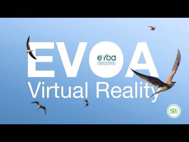 EVOA - Sounding Wild VR & Spatial Audio Experience