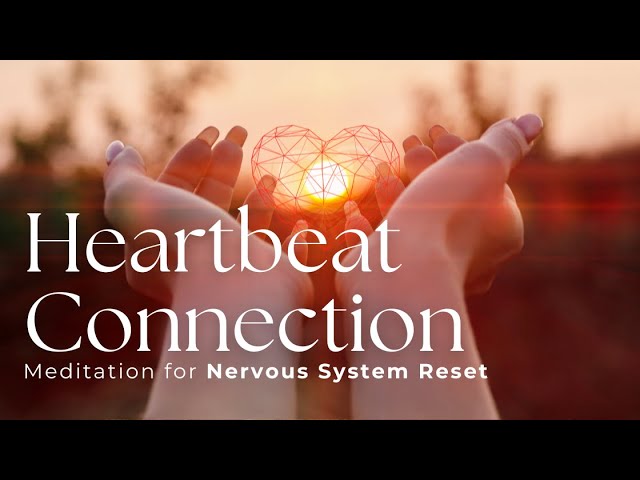 8 Minute Heartbeat Meditation | Mindfulness Meditation for Nervous System Resiliency