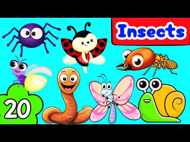 Animals Name & Sound for Kids | Animals Vocabulary In English | Kids Vocabulary