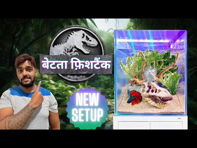 Betta Fish Planted Aquarium | Low Tech Aquascape Set Up (हिंदी)