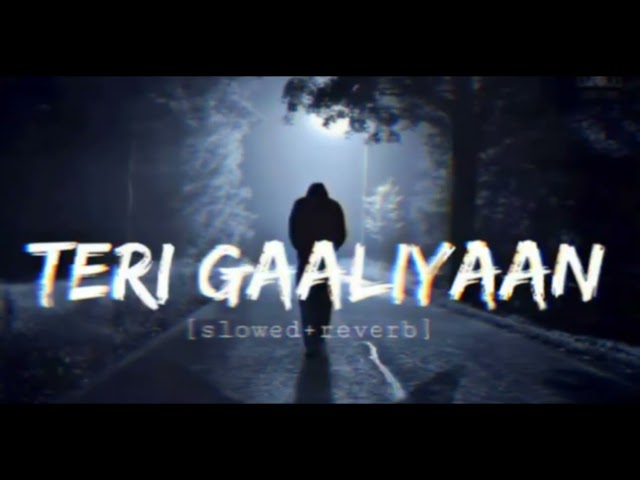 Teri Galiyan (Slowed + Reverb) Ek Villain | Total Lofi Song Channel |