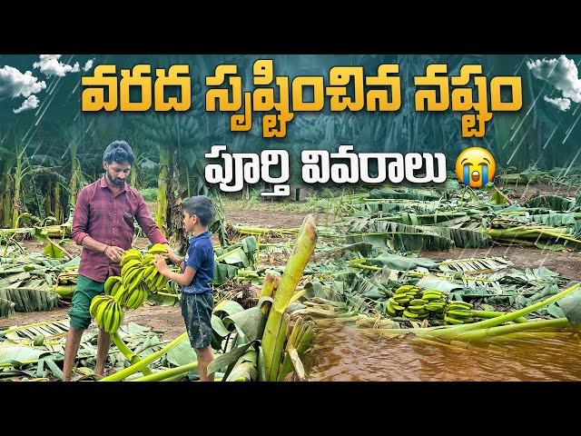 వరద సృష్టించిన నష్టం పూర్తి వివరాలు || #flood #farming losses #viralvideo #trending #trendingvideo