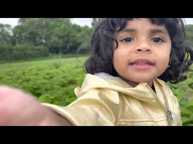 Shriya & Mum Strawberry Picking 🍓