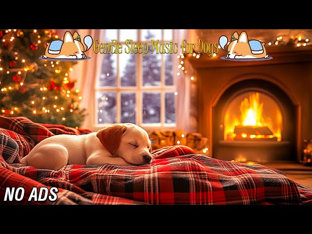 Music that relaxes dogs🐶 Relaxing music that relieves stress, music that induces sleep🎵