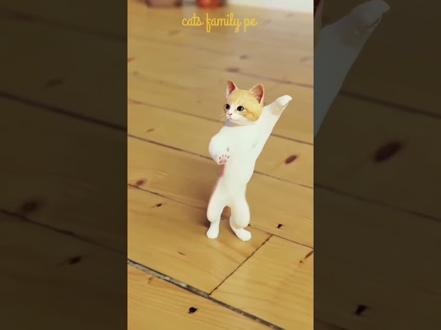 Funny Cat Dance 🤣🤣🤣🤣 #shorts #trending #viralshorts #cats #funny #shortvideo