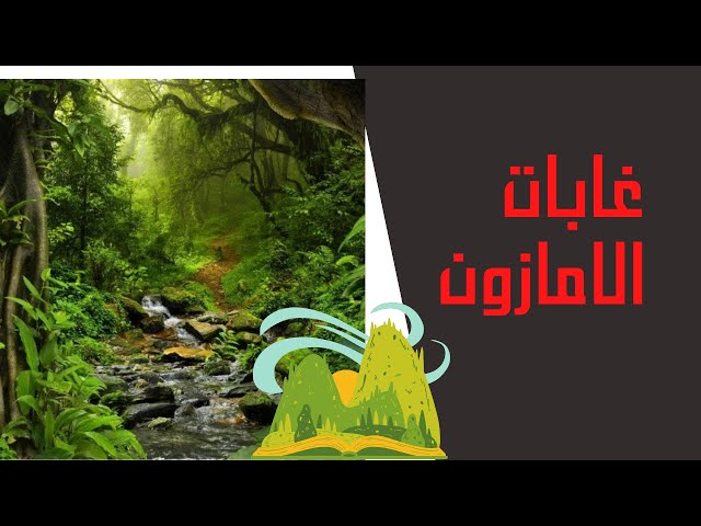 حقائق عن غابات الأمازون | سيدة التنوع البيئي