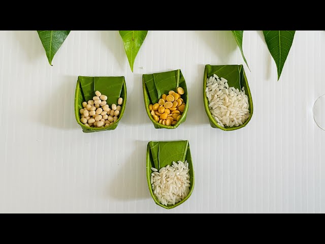 Mango leaf Craft || Leaf Craft || Mango leaf Decoration || Easy Mango leaf Toran